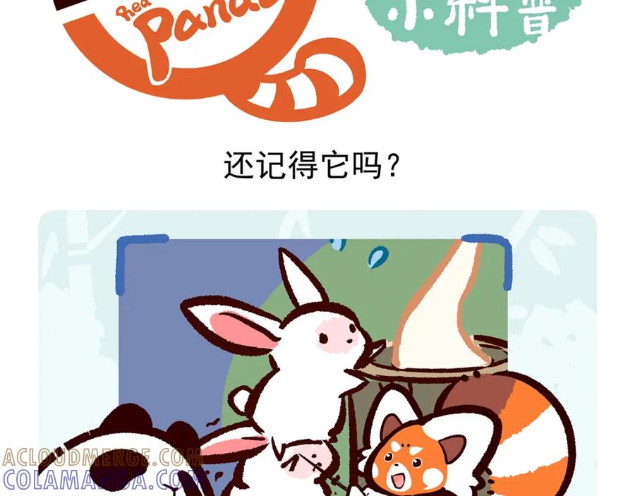 《胖达x胖达》第23话 第25页