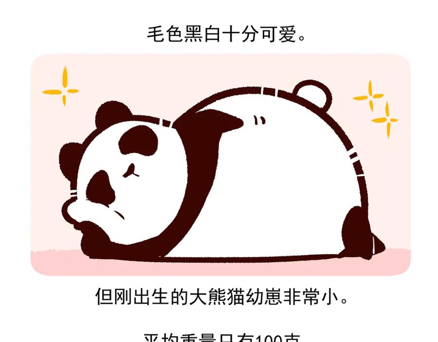 《胖达x胖达》第24话 第20页