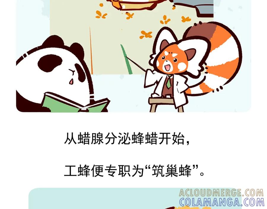 《胖达x胖达》第26话 第31页