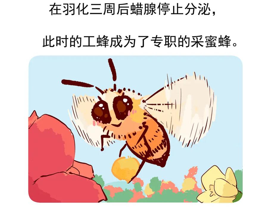 《胖达x胖达》第26话 第34页