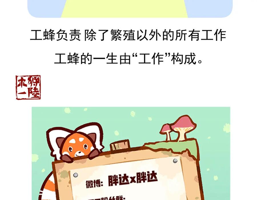 《胖达x胖达》第26话 第36页