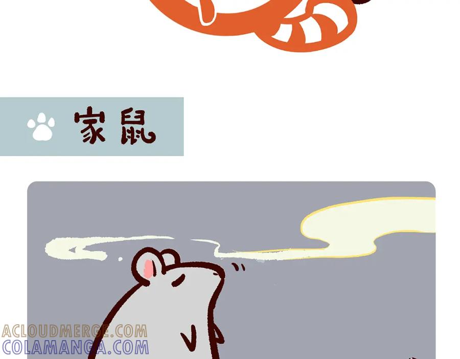 《胖达x胖达》第26话 第17页