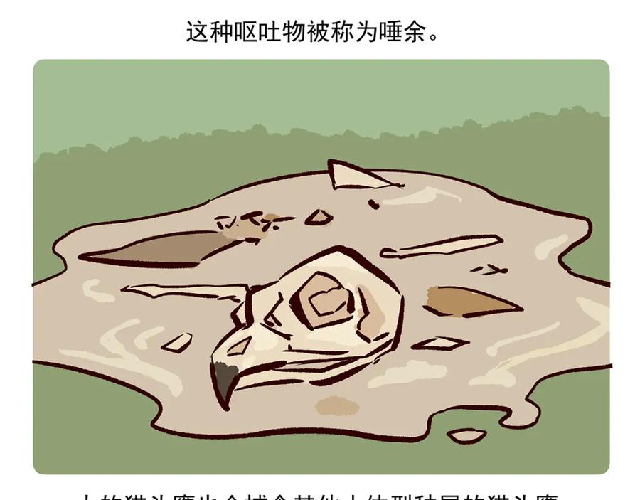 《胖达x胖达》第27话 第30页