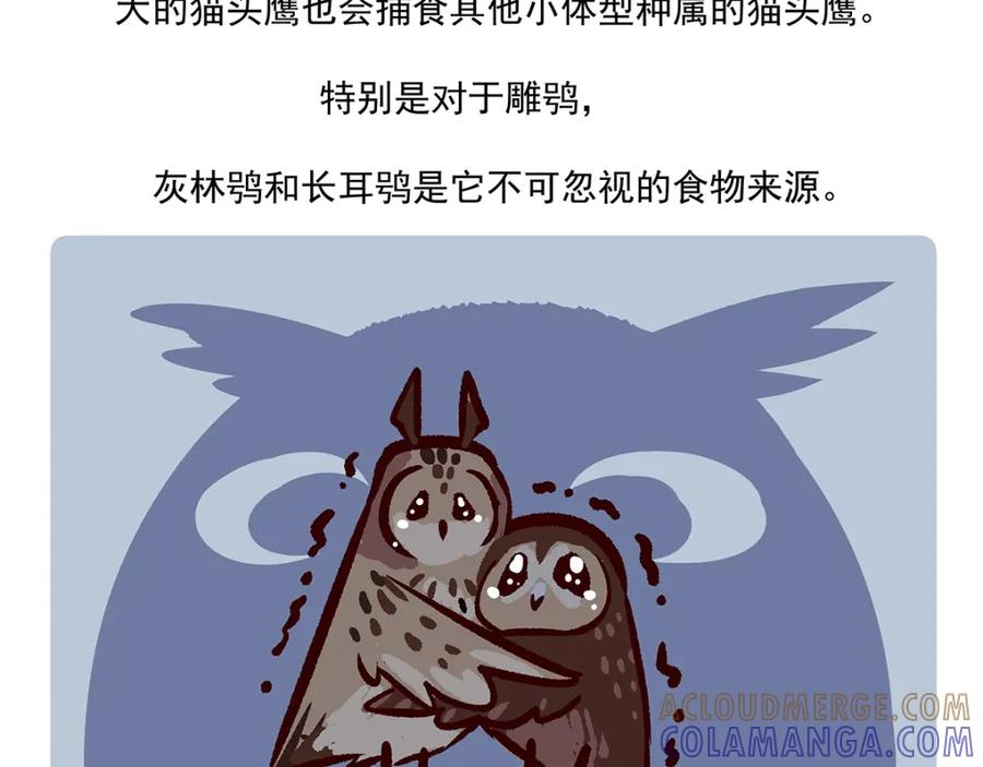 《胖达x胖达》第27话 第31页