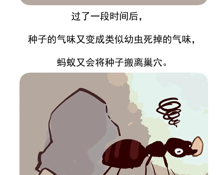 《胖达x胖达》第28话 第32页