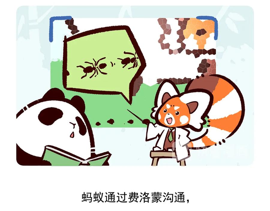 《胖达x胖达》第28话 第20页