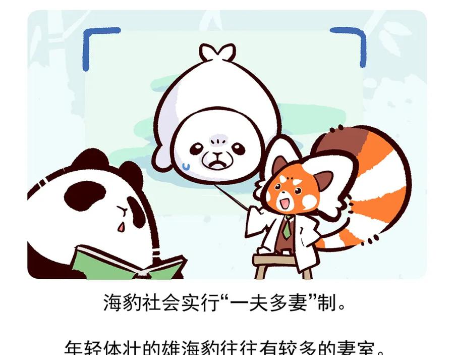《胖达x胖达》第29话 第28页