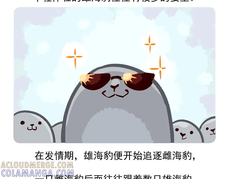 《胖达x胖达》第29话 第29页