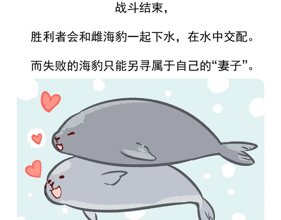 《胖达x胖达》第29话 第32页