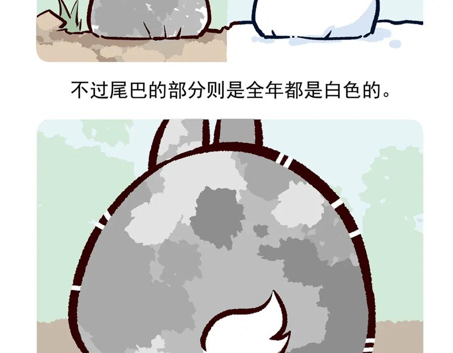 《胖达x胖达》第30话 第32页