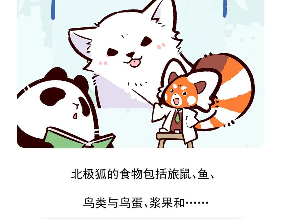 《胖达x胖达》第31话 第30页