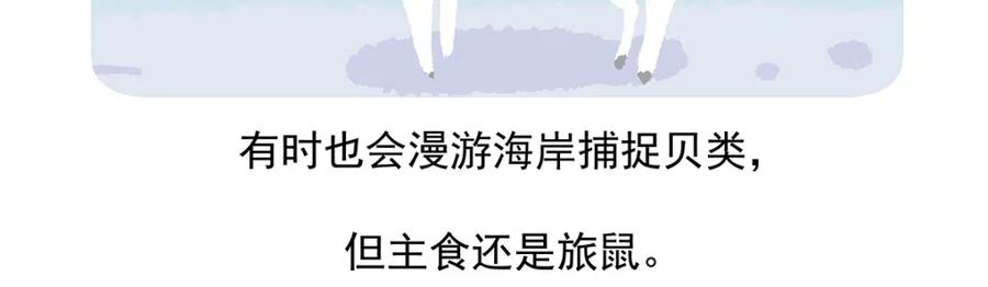 《胖达x胖达》第31话 第32页
