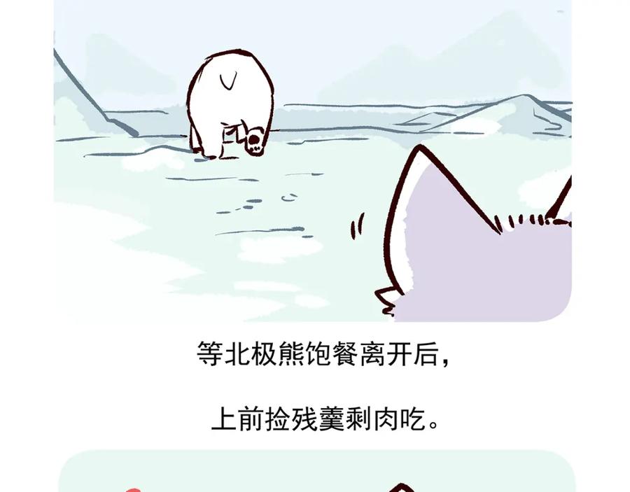 《胖达x胖达》第31话 第34页
