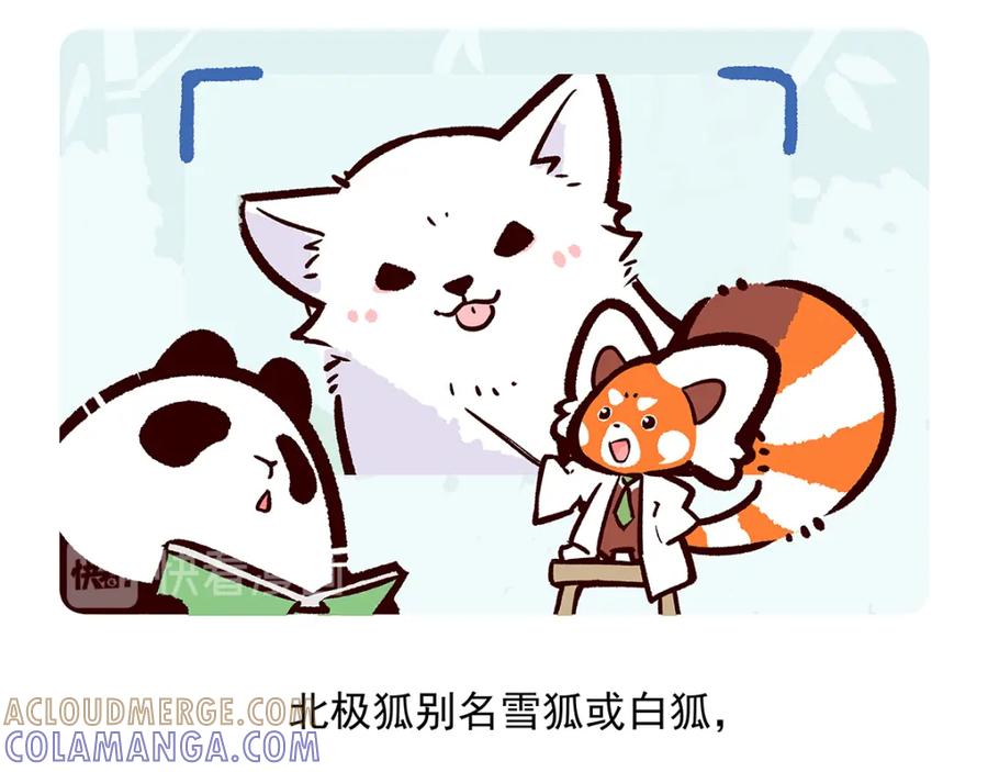《胖达x胖达》第31话 第23页