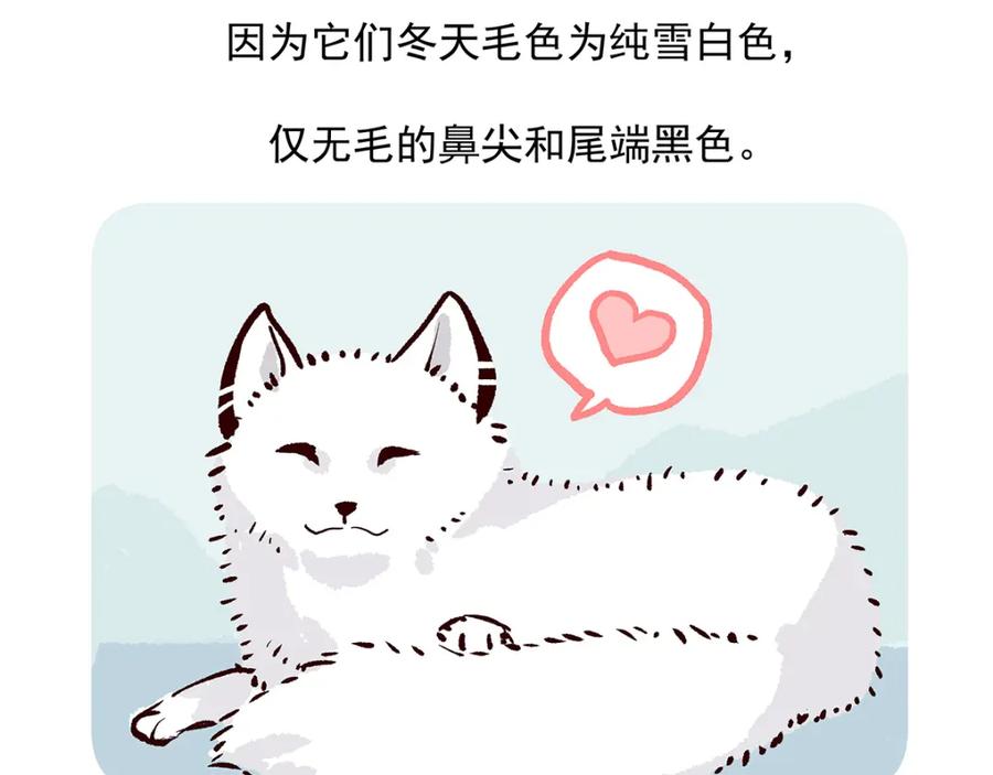 《胖达x胖达》第31话 第24页