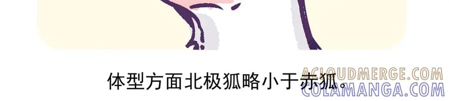 《胖达x胖达》第31话 第27页