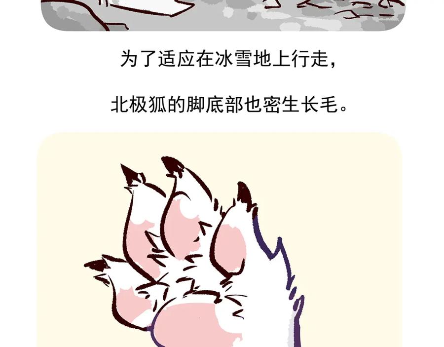 《胖达x胖达》第31话 第26页