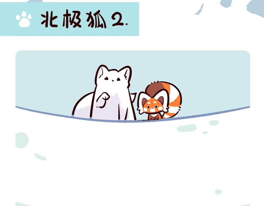 《胖达x胖达》第31话 第8页