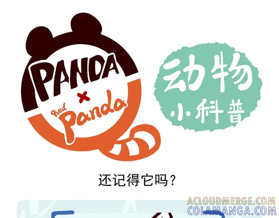 《胖达x胖达》第31话 第29页
