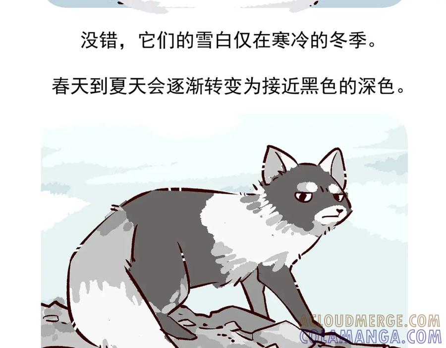 《胖达x胖达》第31话 第25页