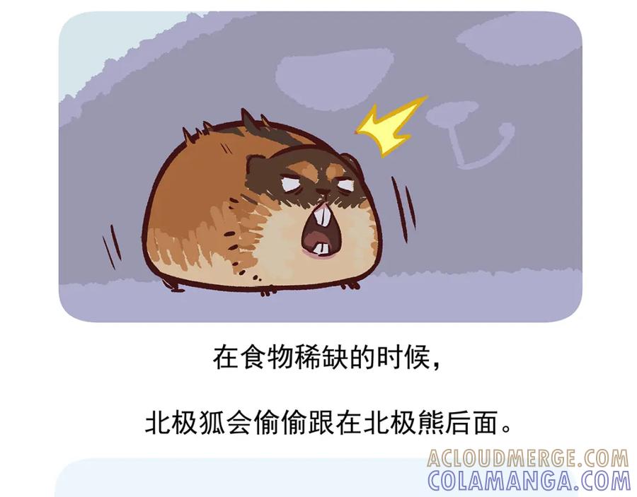 《胖达x胖达》第31话 第33页