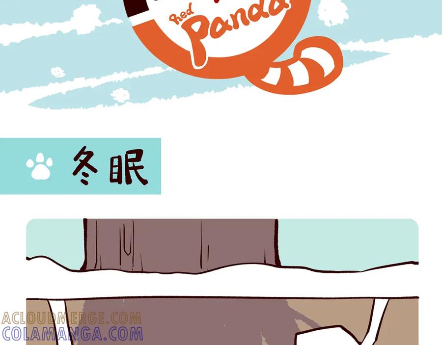 《胖达x胖达》第32话 第13页