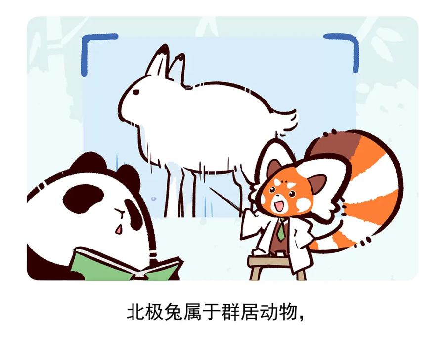 《胖达x胖达》第32话 第20页