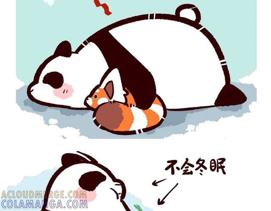 《胖达x胖达》第32话 第17页