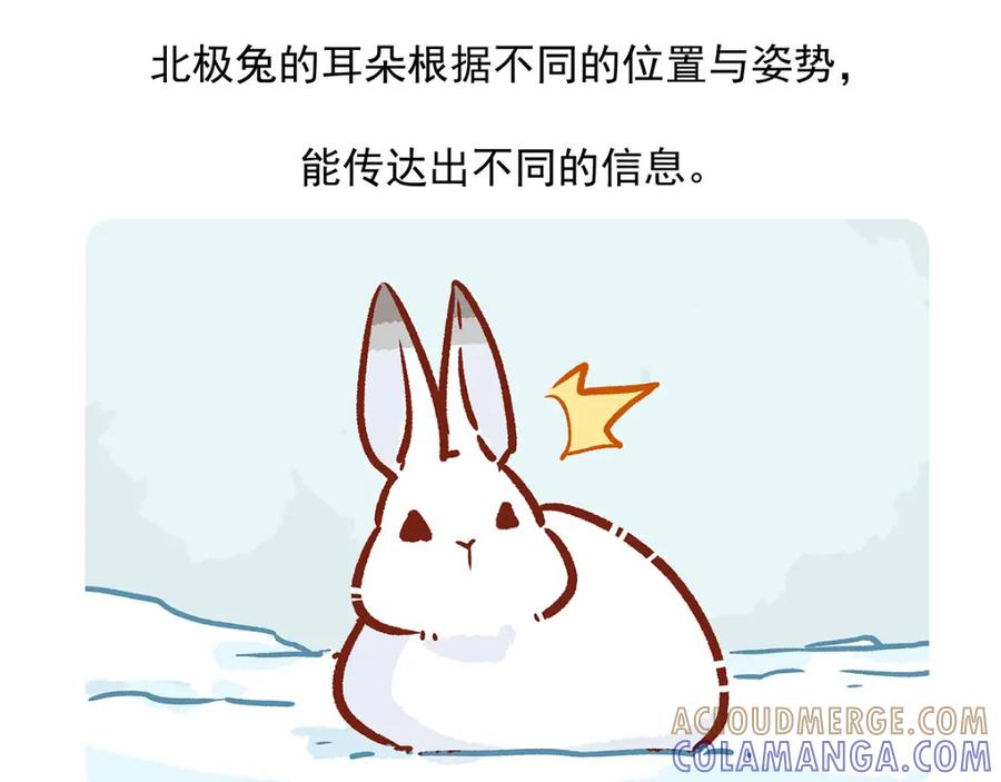《胖达x胖达》第32话 第23页