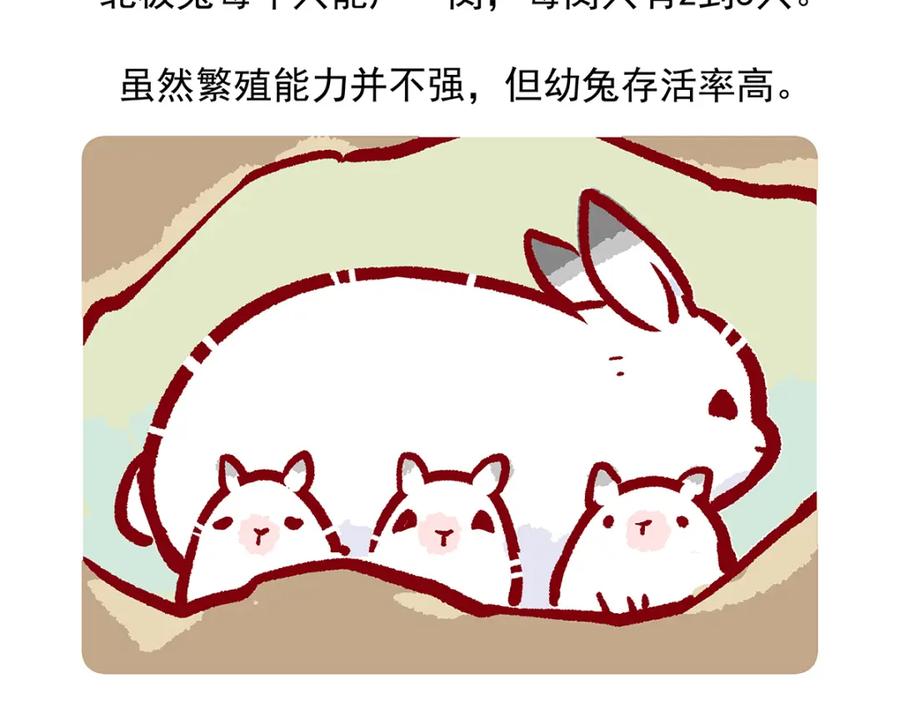 《胖达x胖达》第33话 第22页