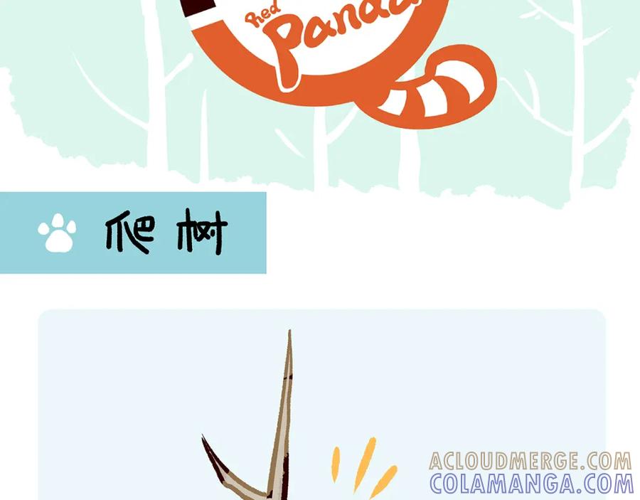 《胖达x胖达》第33话 第13页