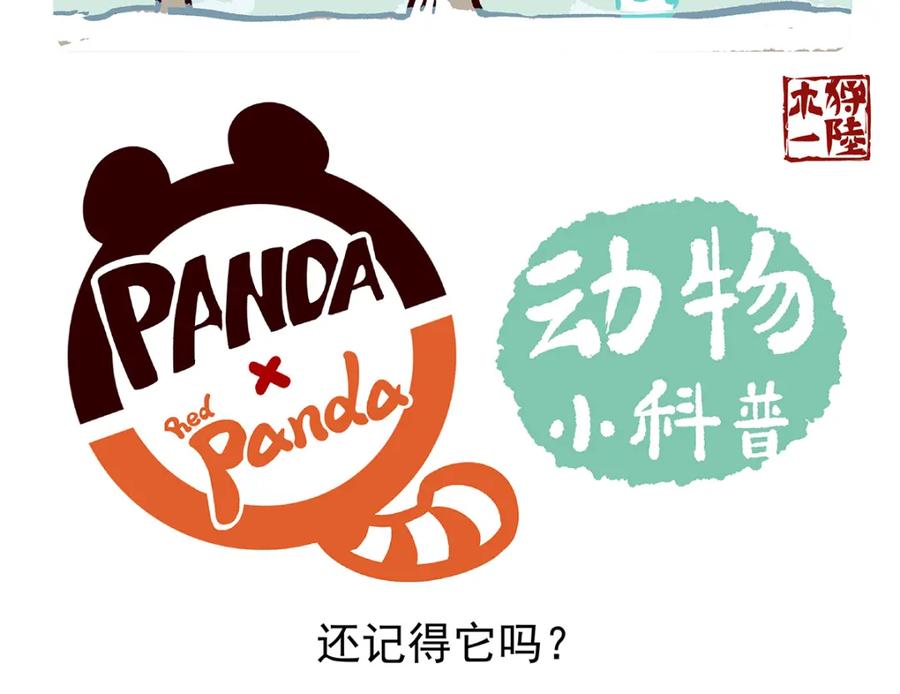 《胖达x胖达》第33话 第18页