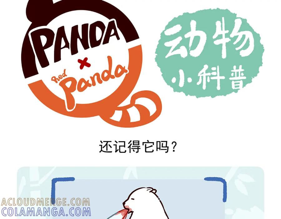《胖达x胖达》第33话 第25页