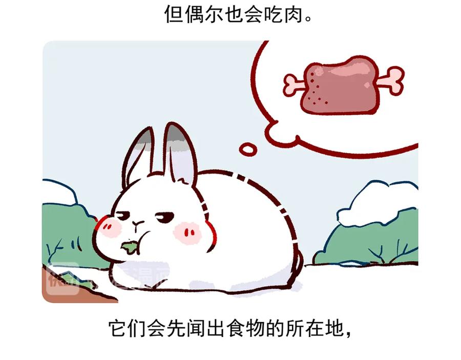 《胖达x胖达》第33话 第20页