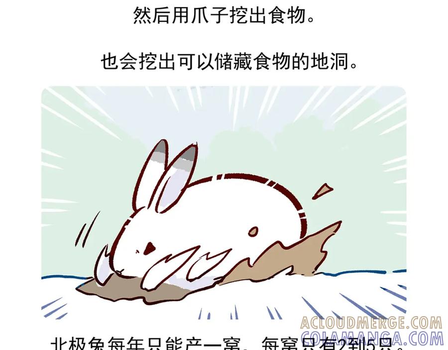 《胖达x胖达》第33话 第21页