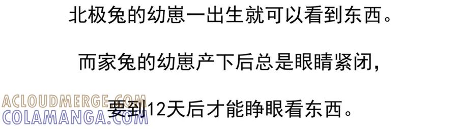 《胖达x胖达》第33话 第23页