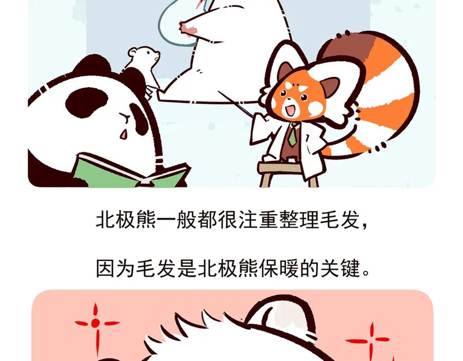 《胖达x胖达》第33话 第26页
