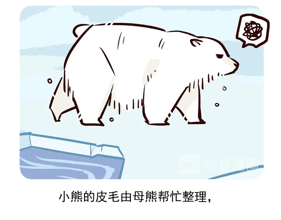 《胖达x胖达》第33话 第28页