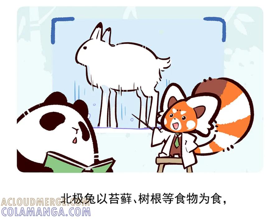 《胖达x胖达》第33话 第19页