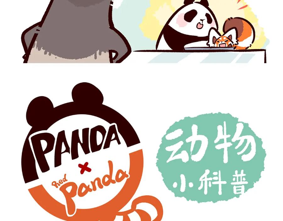《胖达x胖达》第34话 第12页
