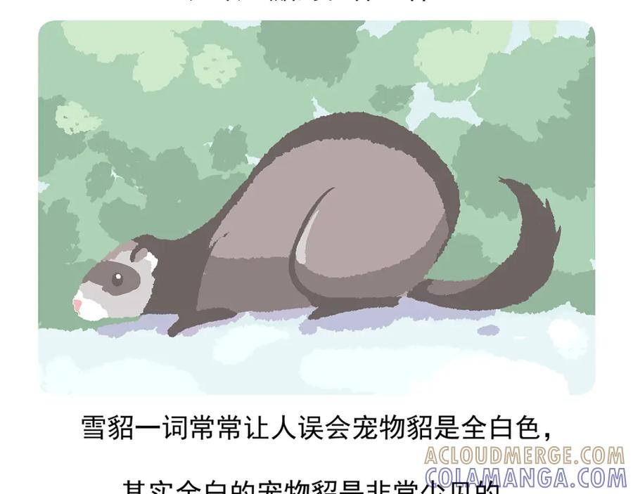 《胖达x胖达》第34话 第15页