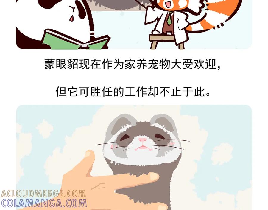 《胖达x胖达》第34话 第21页