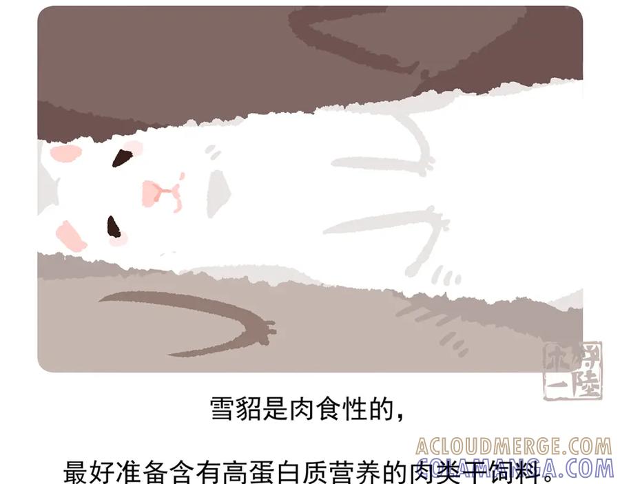 《胖达x胖达》第34话 第31页