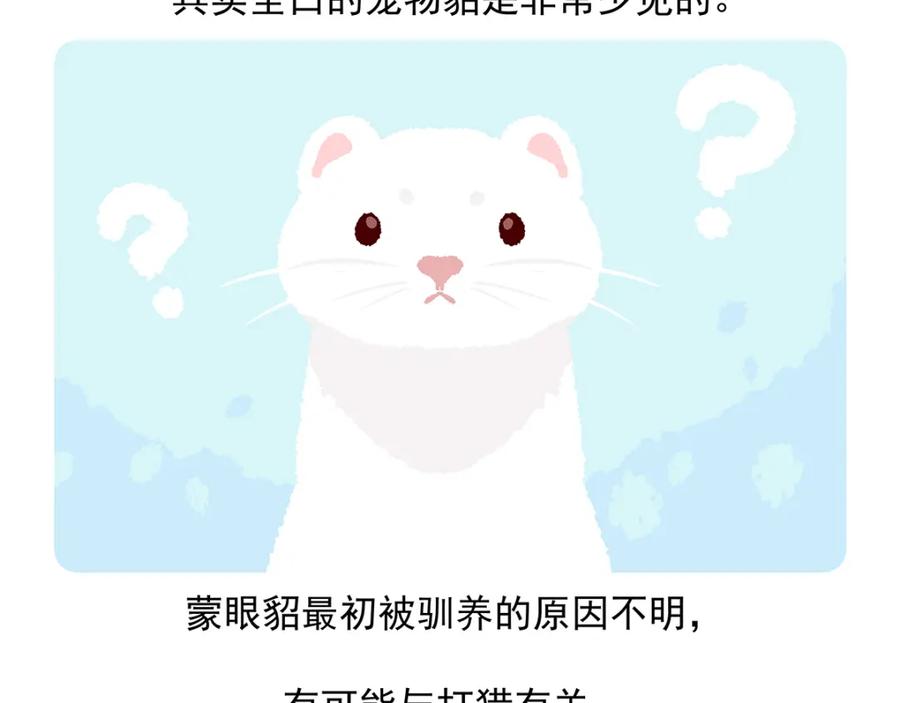 《胖达x胖达》第34话 第16页