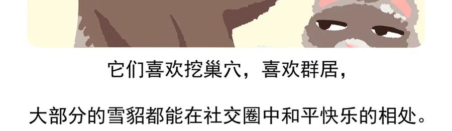 《胖达x胖达》第34话 第30页