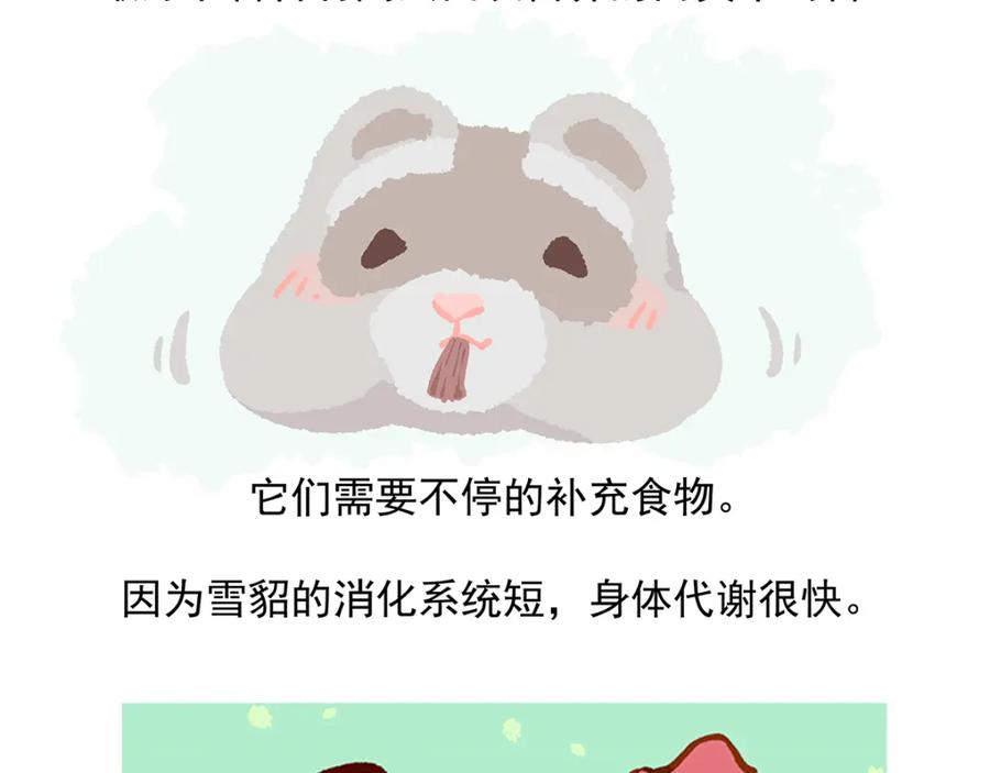 《胖达x胖达》第34话 第32页