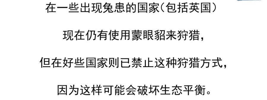 《胖达x胖达》第34话 第18页