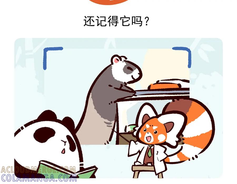 《胖达x胖达》第34话 第27页