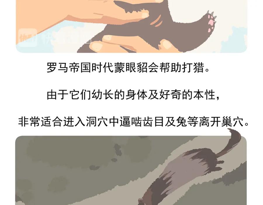 《胖达x胖达》第34话 第22页