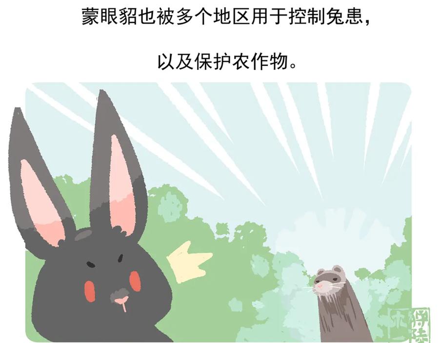 《胖达x胖达》第34话 第24页